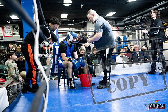Cougar Boxing -0719