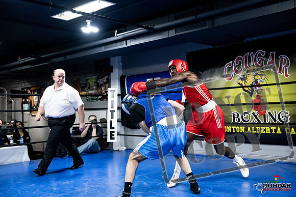 Cougar Boxing -0722