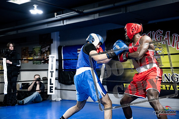 Cougar Boxing -0723