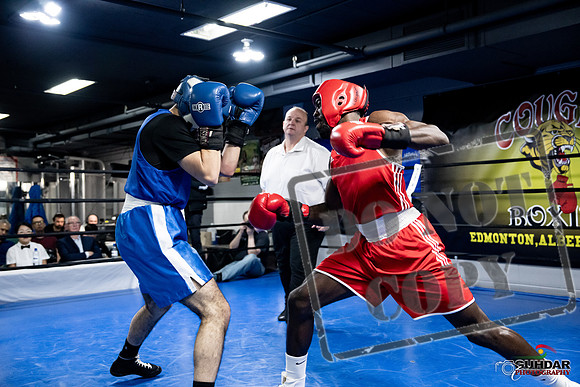 Cougar Boxing -0725