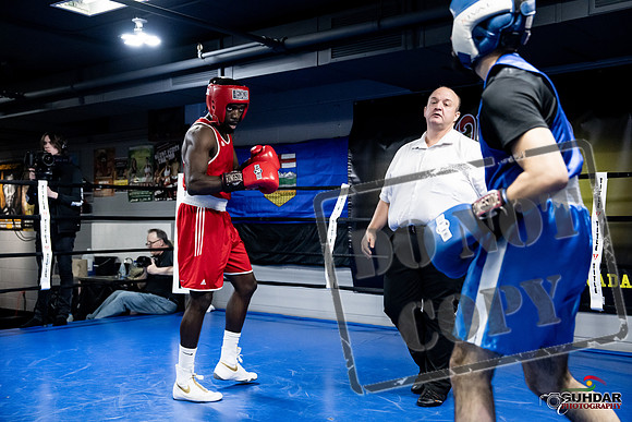 Cougar Boxing -0726