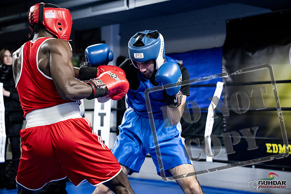 Cougar Boxing -0727