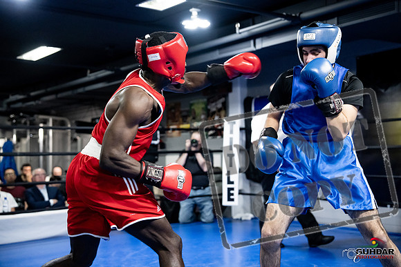 Cougar Boxing -0728