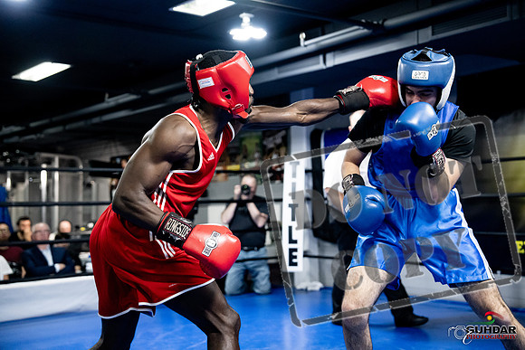 Cougar Boxing -0729