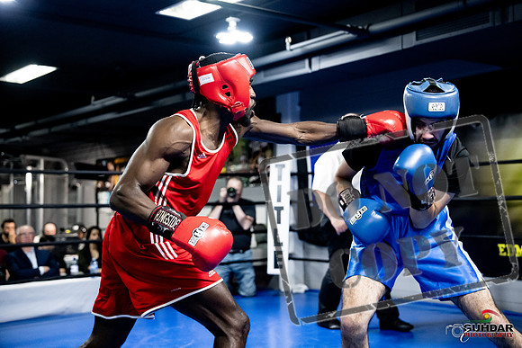Cougar Boxing -0730