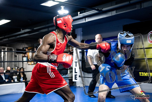 Cougar Boxing -0731