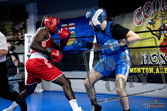 Cougar Boxing -0732