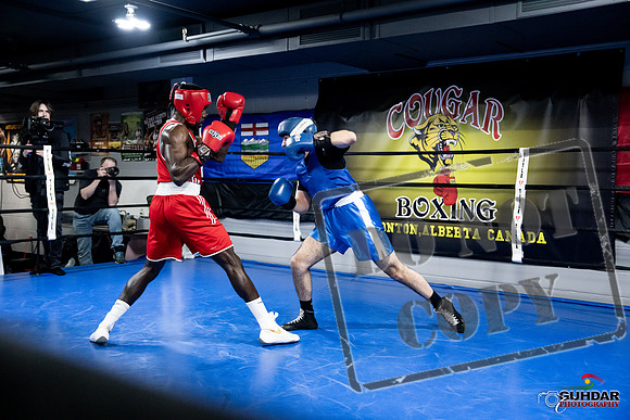 Cougar Boxing -0733
