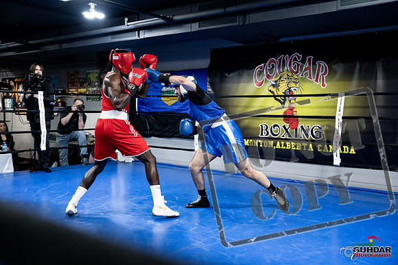 Cougar Boxing -0734