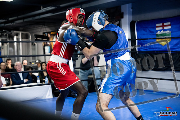 Cougar Boxing -0735