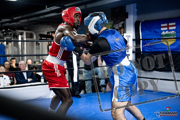Cougar Boxing -0736