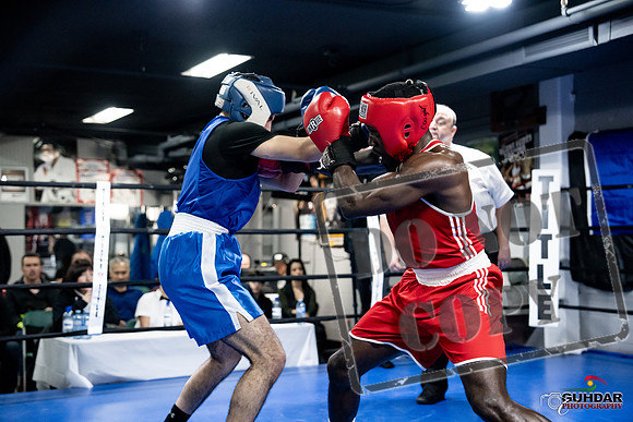 Cougar Boxing -0738