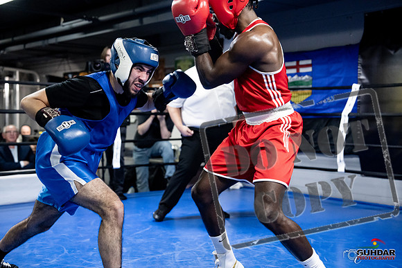 Cougar Boxing -0739