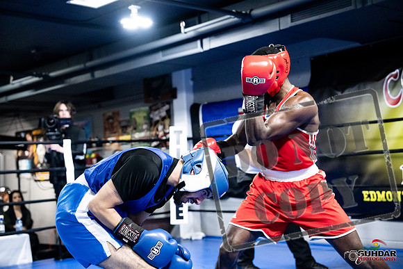 Cougar Boxing -0740