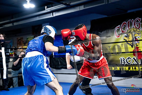 Cougar Boxing -0741