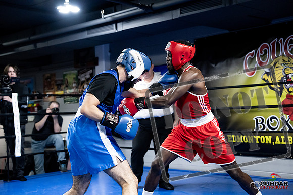 Cougar Boxing -0742