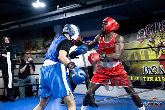 Cougar Boxing -0743