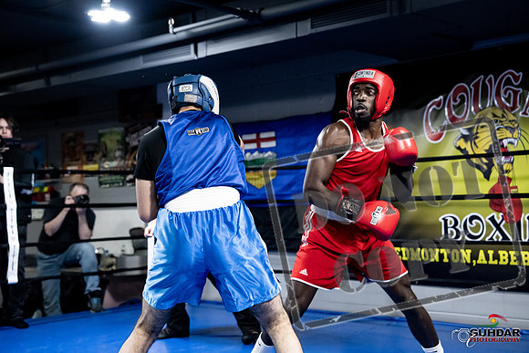 Cougar Boxing -0744