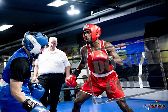 Cougar Boxing -0745