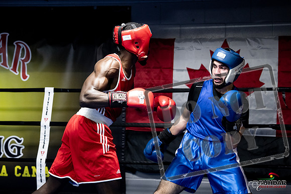 Cougar Boxing -0746