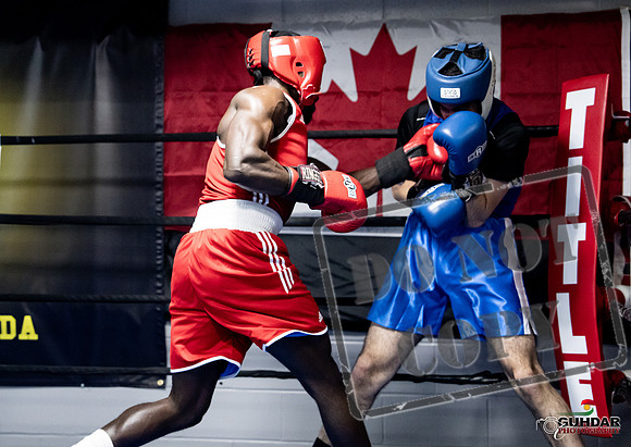 Cougar Boxing -0747