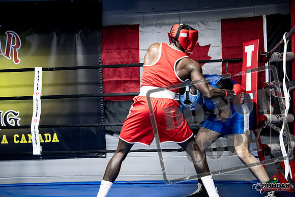 Cougar Boxing -0748