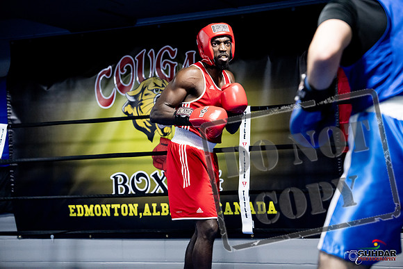 Cougar Boxing -0750