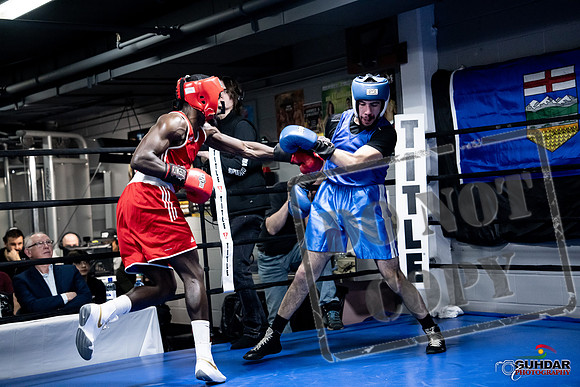 Cougar Boxing -0752