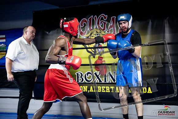 Cougar Boxing -0754