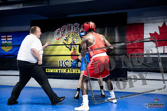 Cougar Boxing -0755