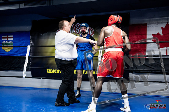 Cougar Boxing -0756