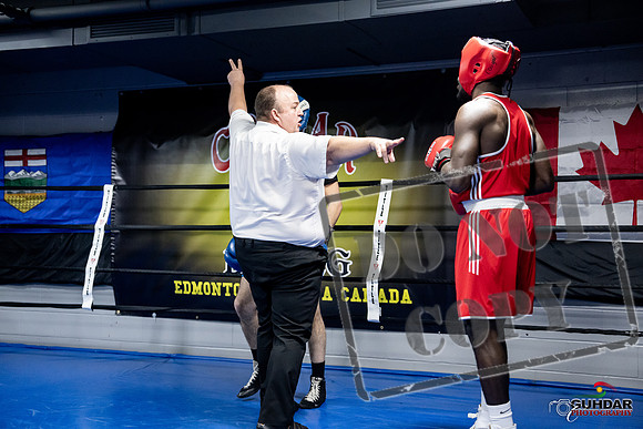 Cougar Boxing -0757