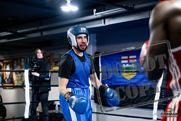Cougar Boxing -0758