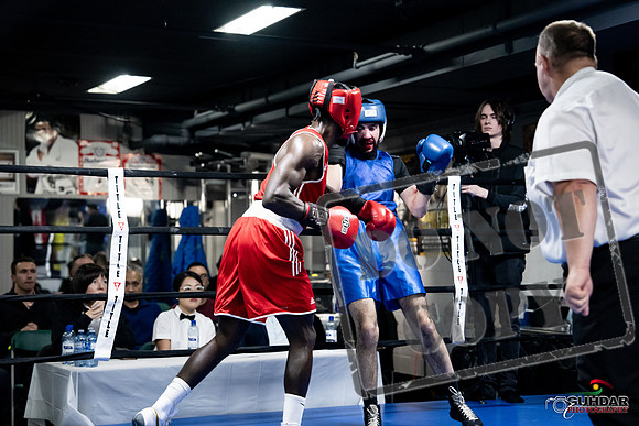 Cougar Boxing -0761