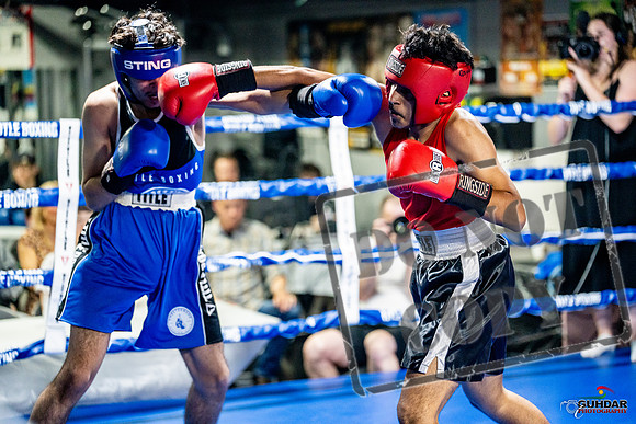 Cougar boxing June 7th 2025-0599