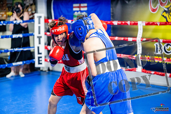Cougar boxing June 7th 2025-0541