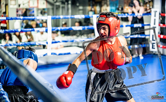Cougar boxing June 7th 2025-0254