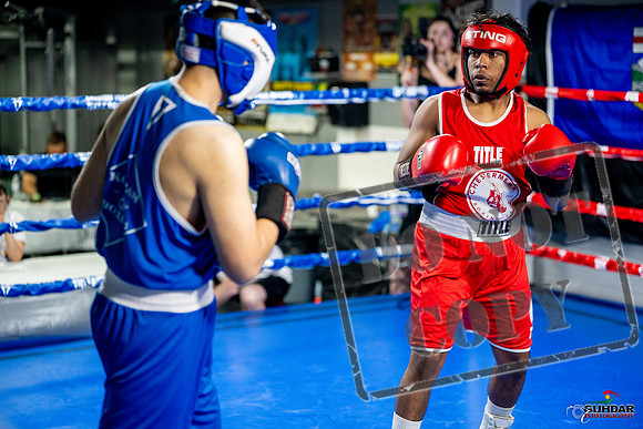 Cougar boxing June 7th 2025-0315