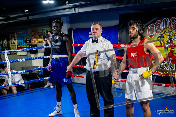 Cougar boxing June 7th 2025-0503