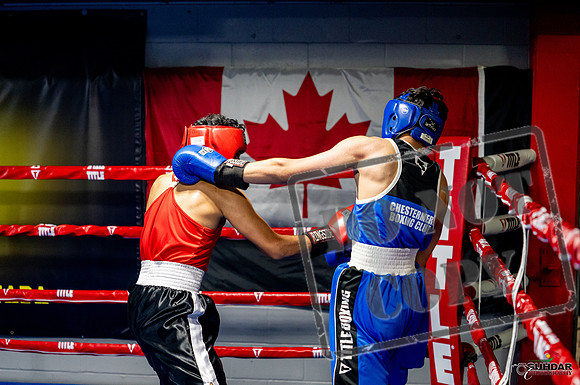 Cougar boxing June 7th 2025-0584