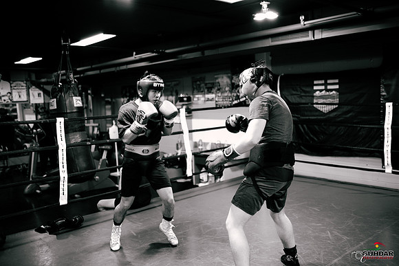 Cougar Boxing-0002