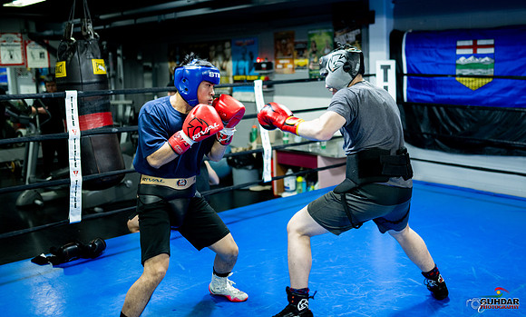 Cougar Boxing-0001