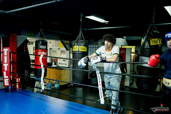 Cougar Boxing-0005
