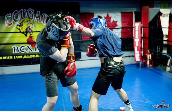 Cougar Boxing-0003