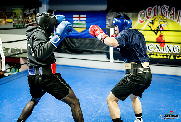 Cougar Boxing-0004