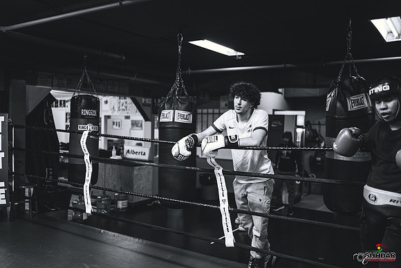 Cougar Boxing-0006