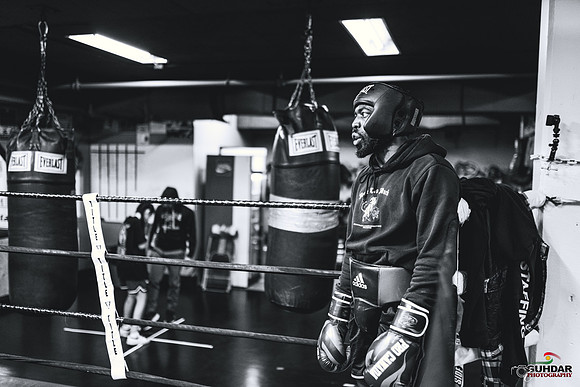 Cougar Boxing-0008