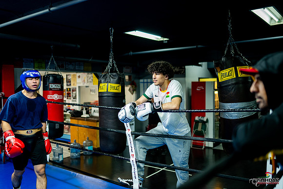 Cougar Boxing-0011