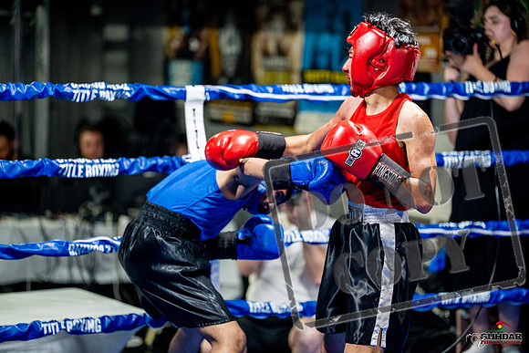 Cougar boxing June 7th 2025-0268