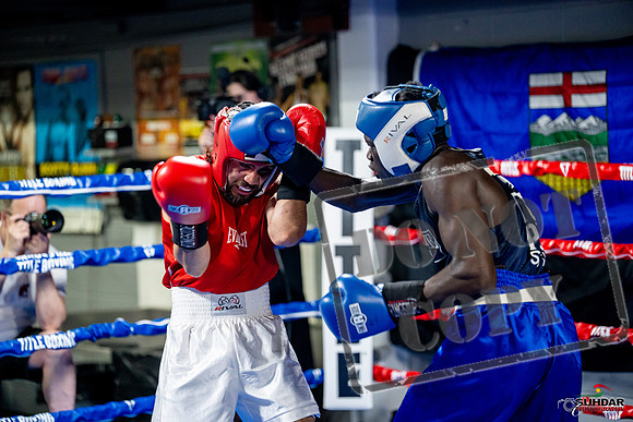 Cougar boxing June 7th 2025-0474